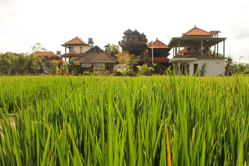 Cenik House Ubud מראה חיצוני תמונה