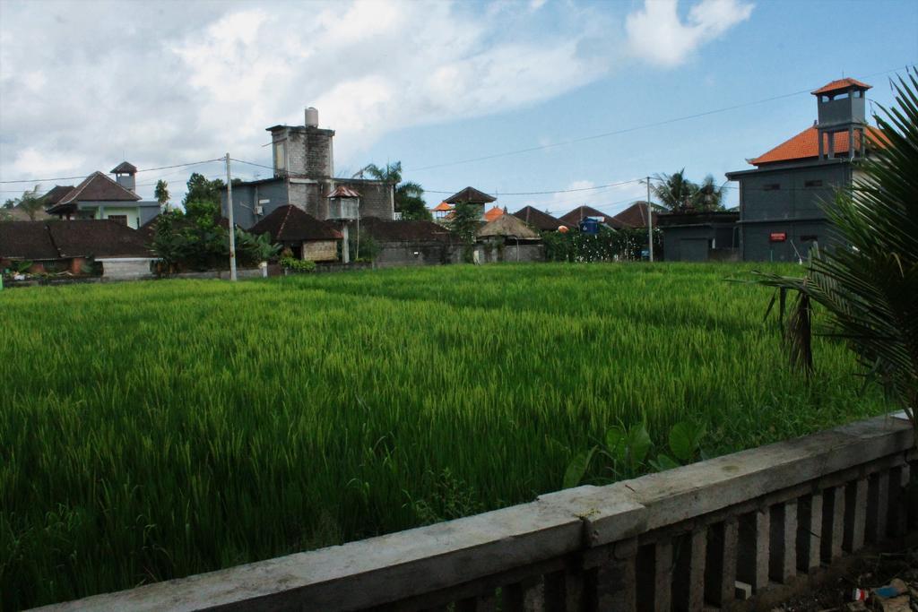 Cenik House Ubud מראה חיצוני תמונה